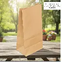 #6 brown paper bags 1.webp