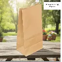 #8 lb Brown Paper Bags