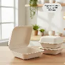 Bagasse Clamshell Container - 9"x 9" (150/case)